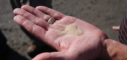 Frac Sands in Hand