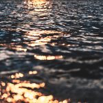 bryan minear 340477 unsplash cut