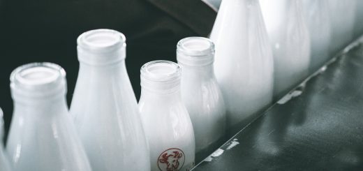 milk bottles, milk farm, milk production