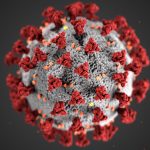 csm coronavirus e9a2f24323