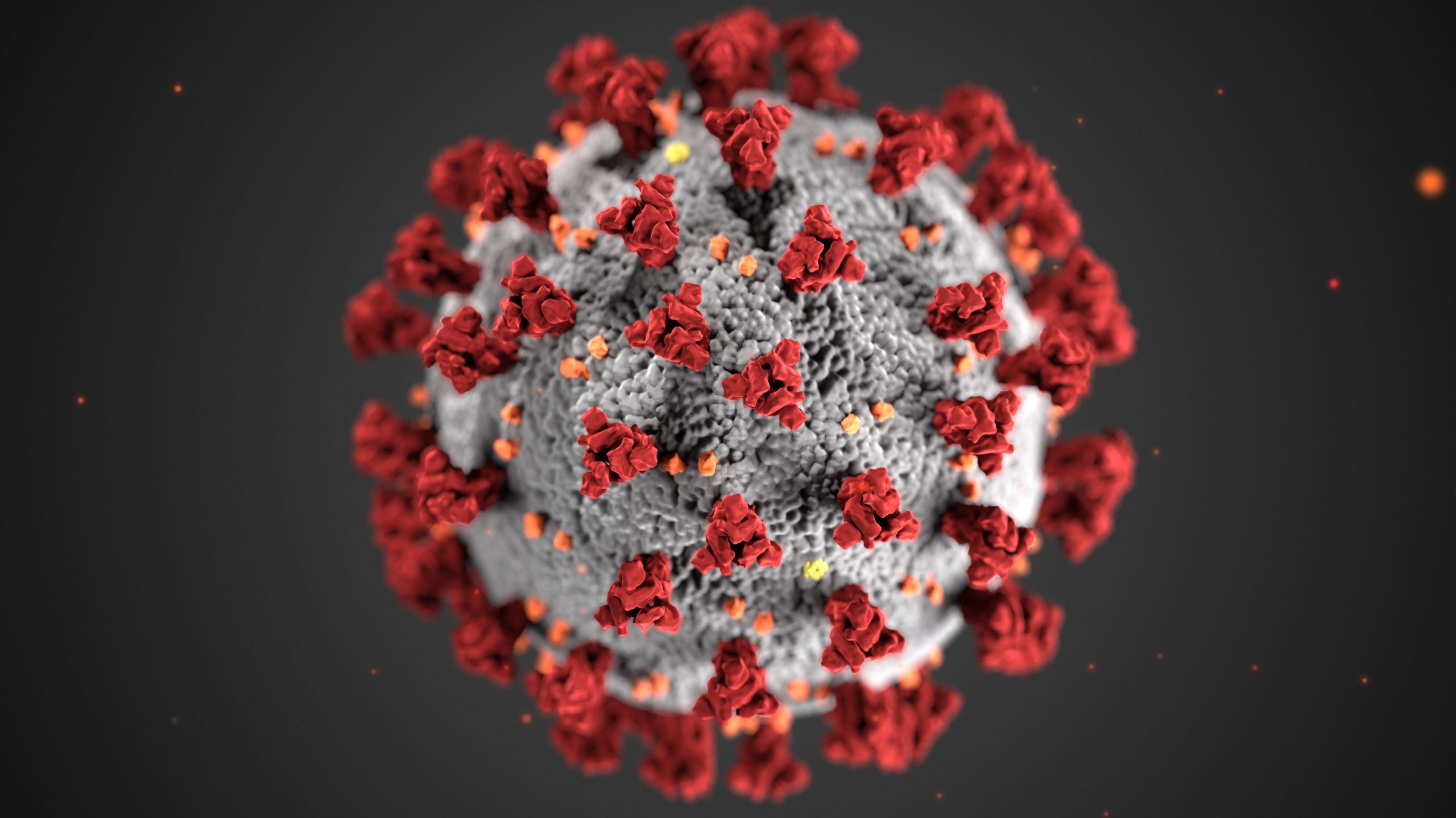 Coronavirus