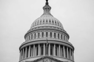 The United States Capitol Building - Photo by Joshua Sukoff on Unsplash