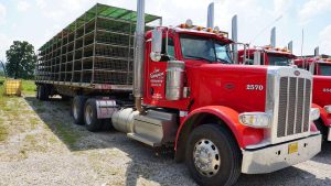 Lew Thompson & Son Trucking Truck with Load