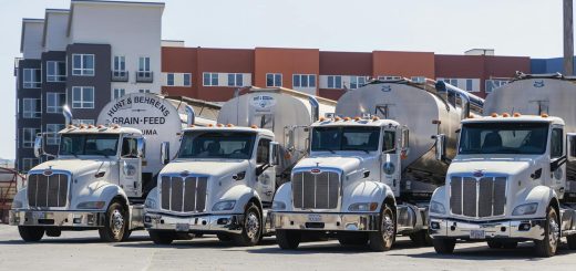 Four polished Peterbilt semi‑trucks with bulk grain trailers parked in an industrial yard.
