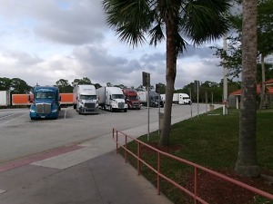 DOT Awards $200 Million for Truck Parking Across 12 States 1 Blue, white and red tractor-trailers parked in marked spaces beside palm trees at a highway rest area.