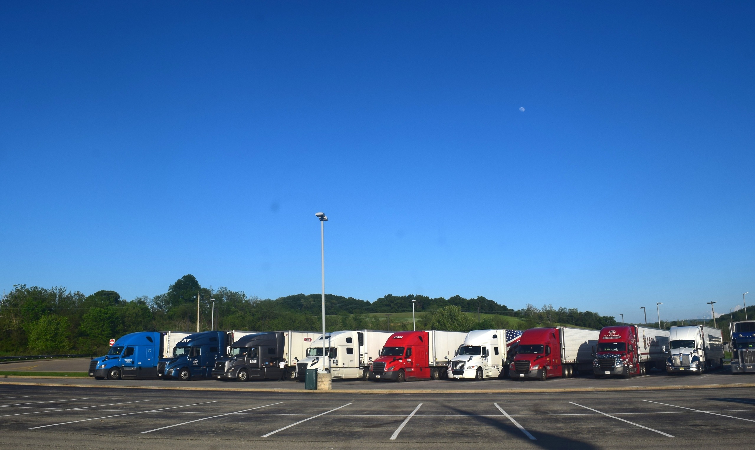Blue, black, white and red tractor-trailers parked in a row beneath a clear blue sky.